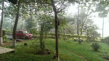 Plot / Site photo 3