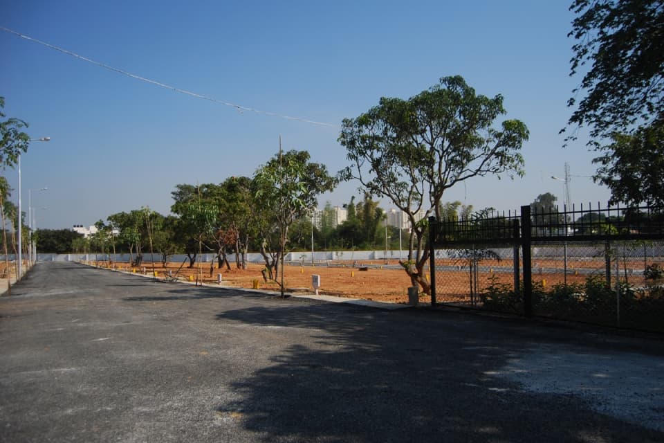 Plot / Site photo 4