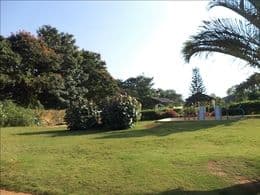 Plot / Site photo 2