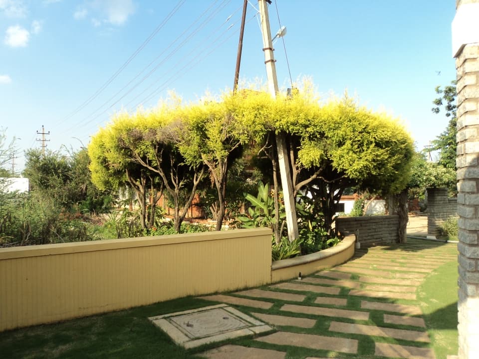 Independent House photo 2