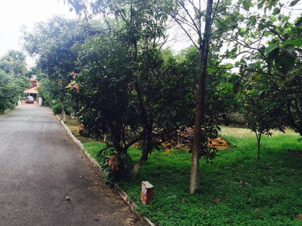Ferns Meadows Plots for sale in Hennur main road, 6600 sqft Plot at Ferns Meadows