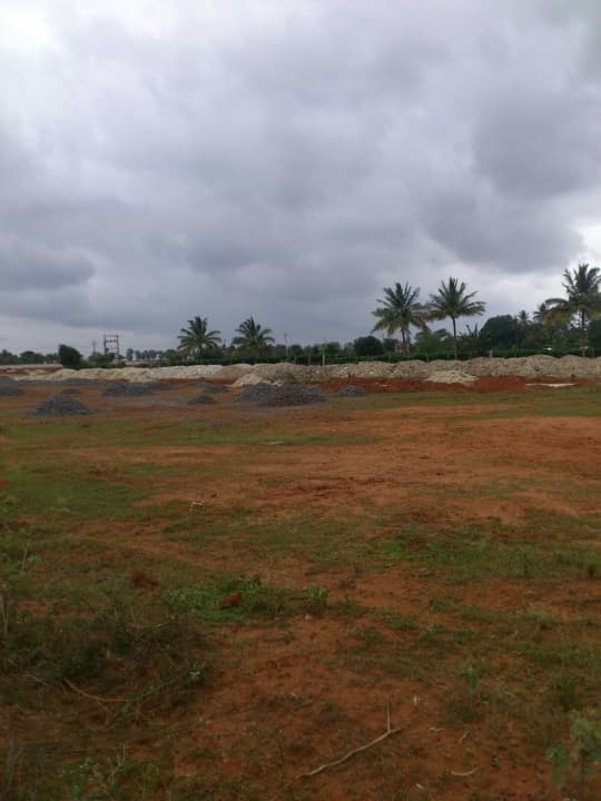 Plot / Site photo 2
