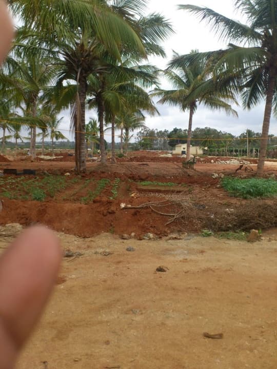 Plot / Site photo 4