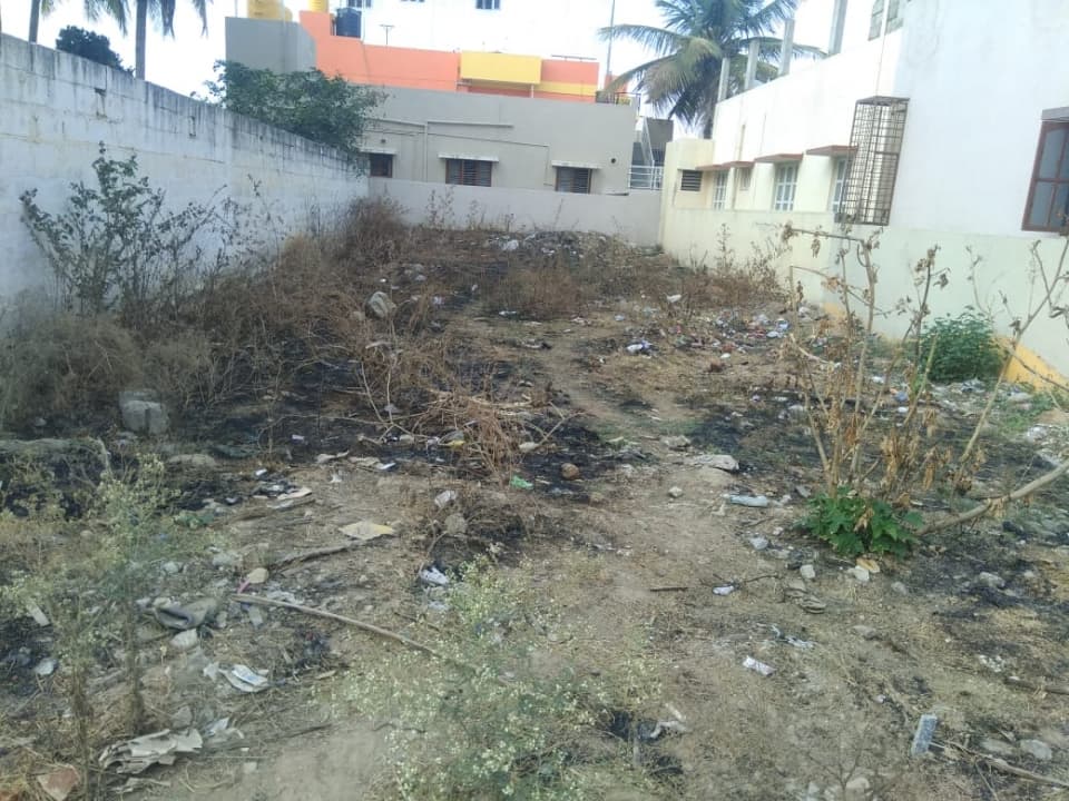 Plot / Site photo 2