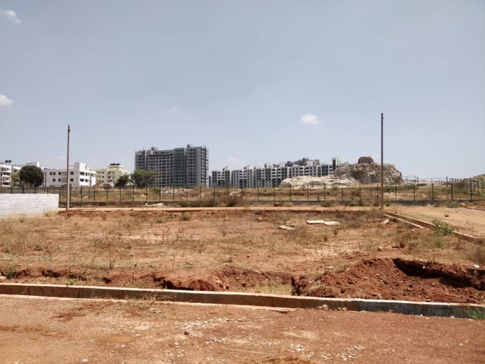 Plot / Site photo 2