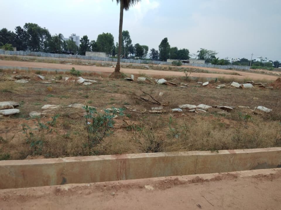 Plot / Site photo 2