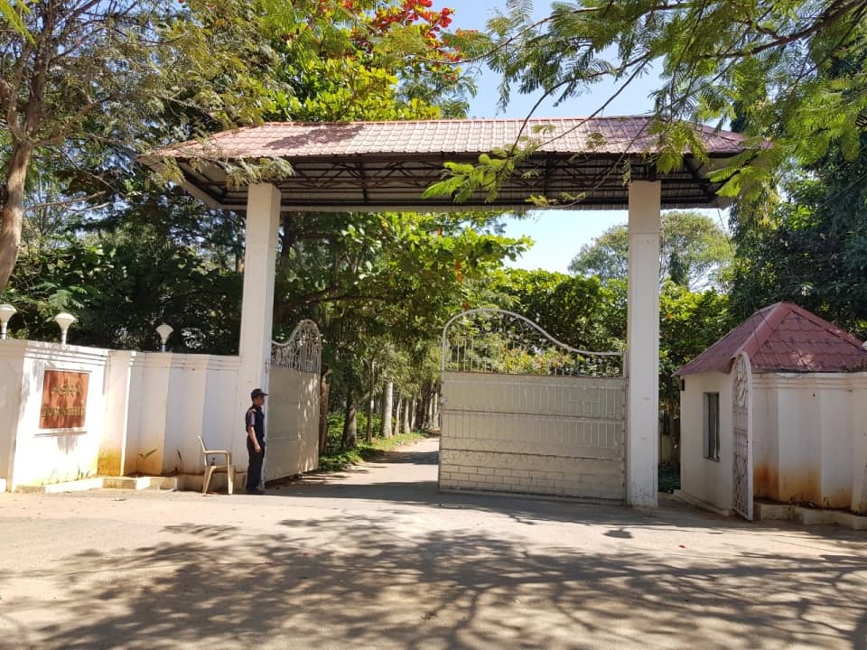 Plot / Site photo 2