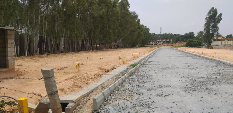 Plot / Site photo 2
