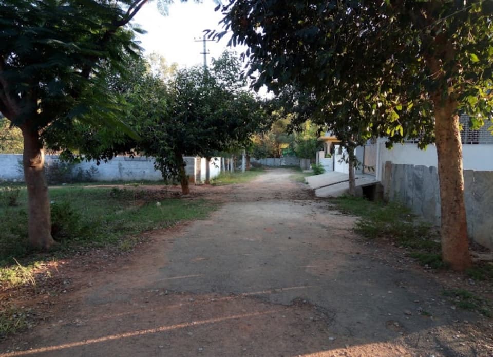 Plot / Site photo 4