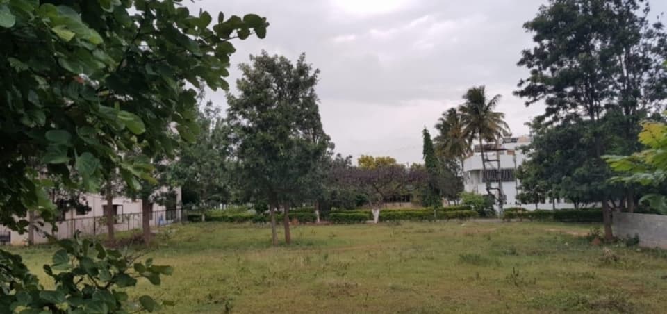 Plot / Site photo 3