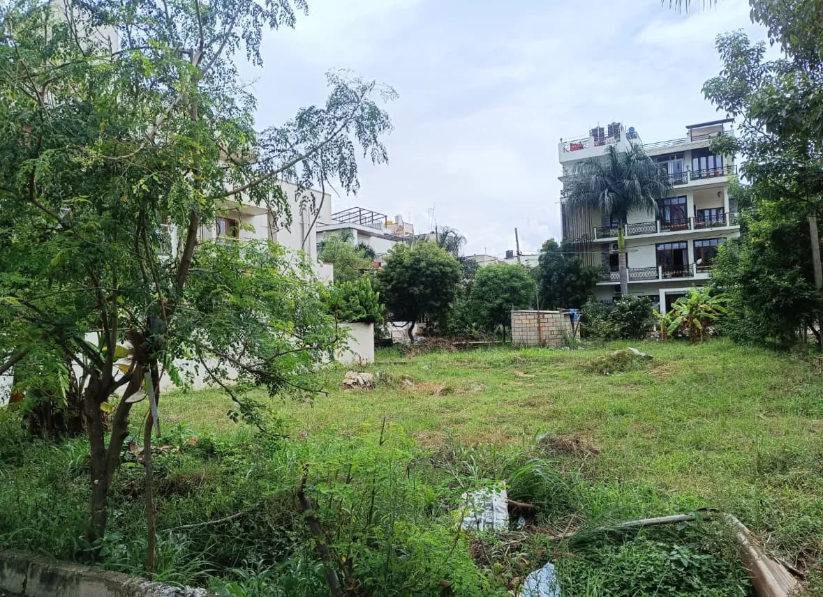 Plot / Site photo 4