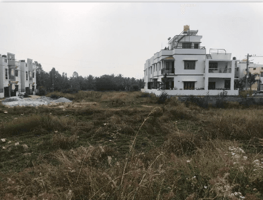 Plot / Site photo 3