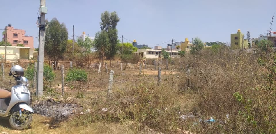 Plot / Site photo 2