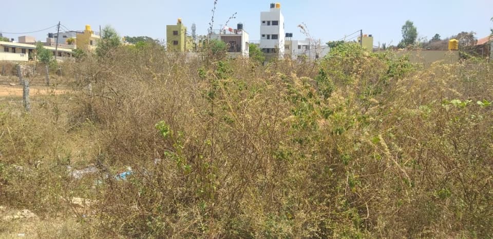 Plot / Site photo 3