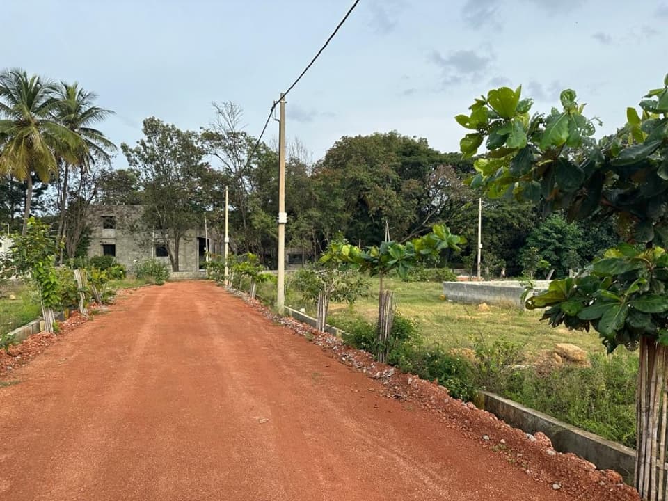 Plot / Site photo 2
