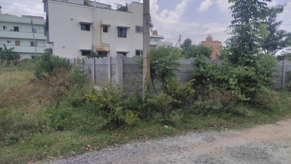Plot / Site photo 3