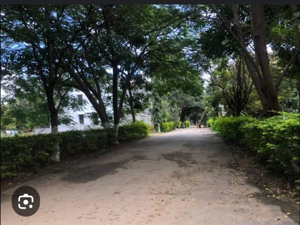 Plot / Site photo 3