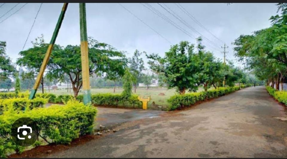 Plot / Site photo 2