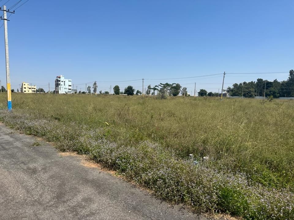 Plot / Site photo 3