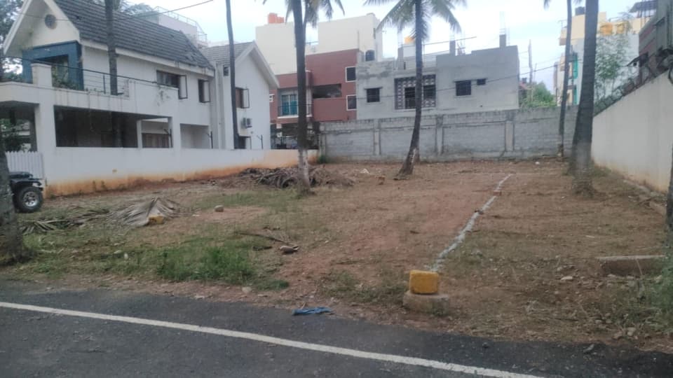 Plot / Site photo 2