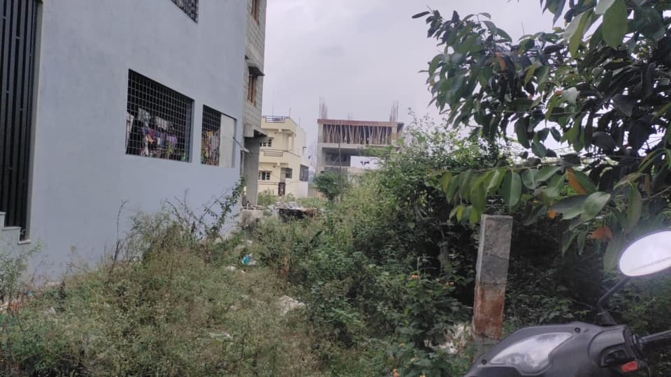 Plot / Site photo 2