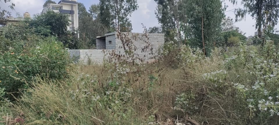 Plot / Site photo 2