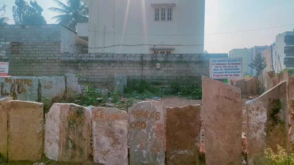 Plot / Site photo 2