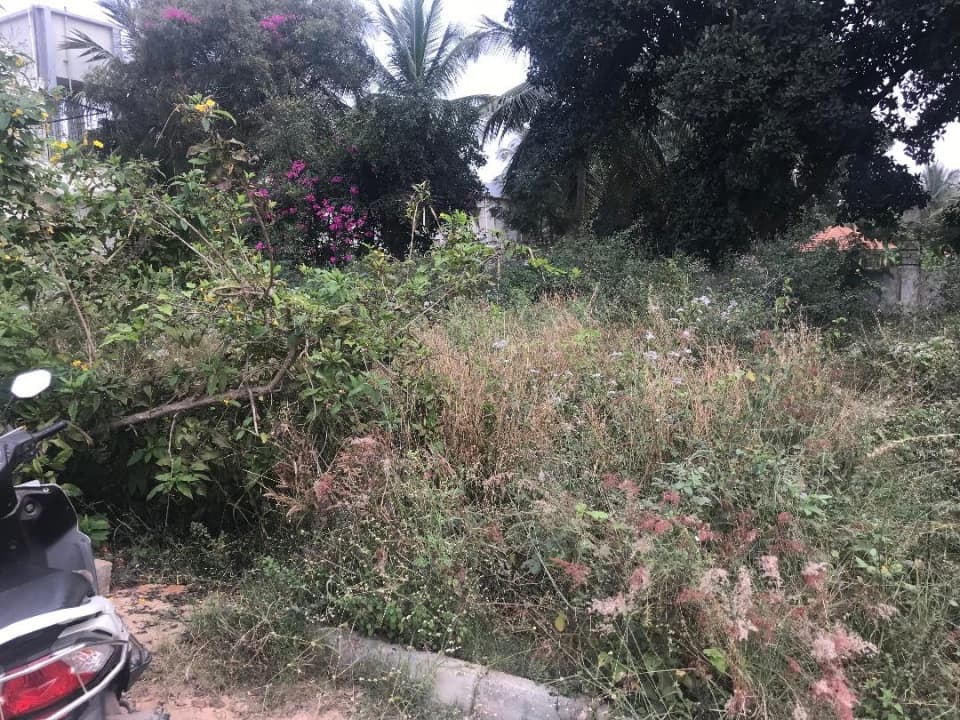 Plot / Site photo 4