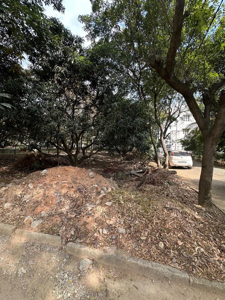 Plot / Site photo 4