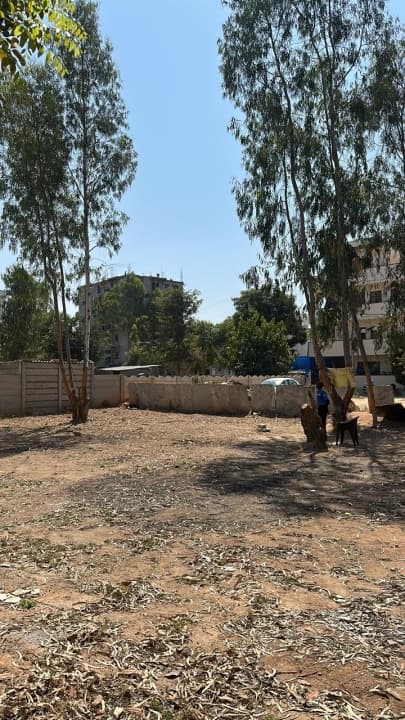Plot / Site photo 2