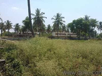 Plot / Site photo 3