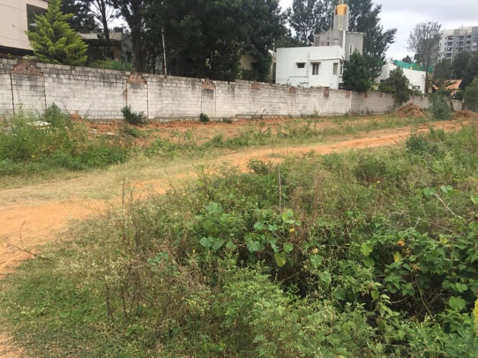 Plot / Site photo 2