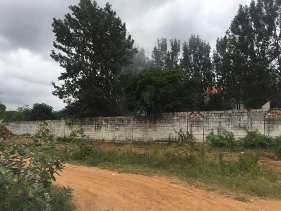 Plot / Site photo 4