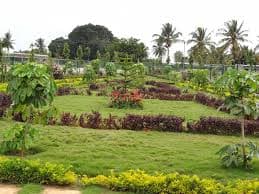 Plot / Site photo 2