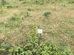 30X40 site in sriram layout, kammagondahalli, jalahalli,