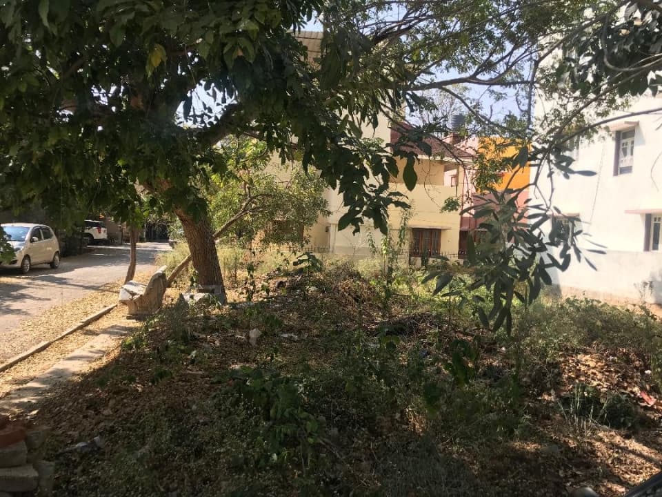 Plot / Site photo 4