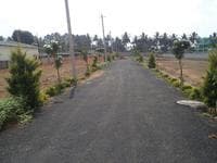 Plot / Site photo 3