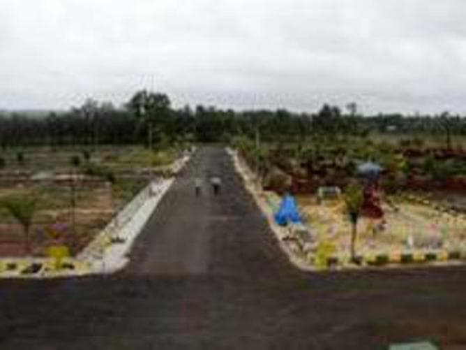 Plot / Site photo 3