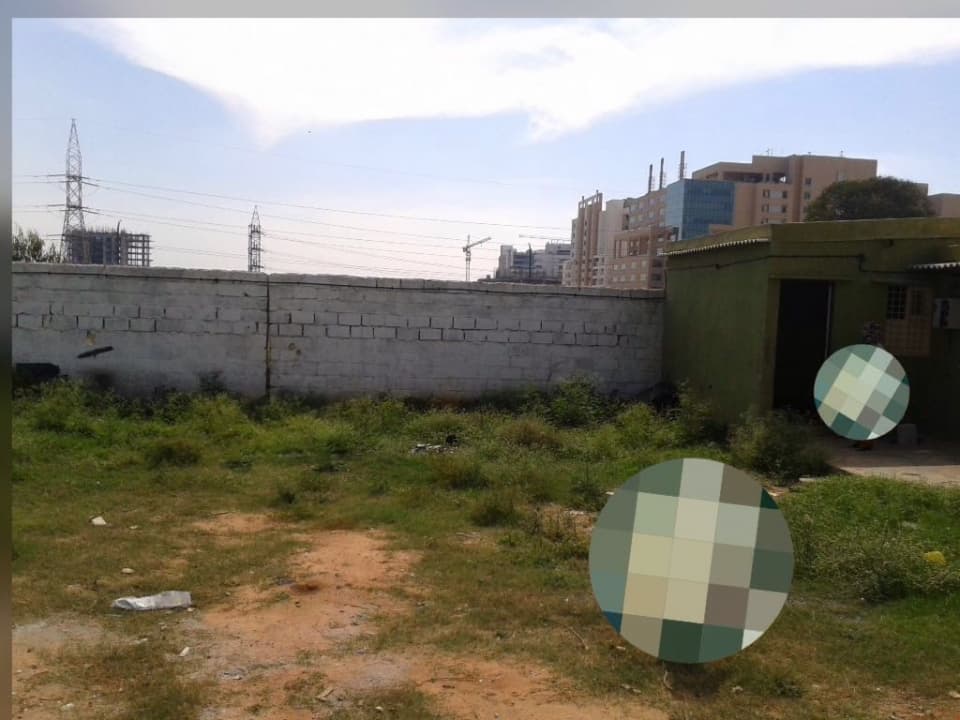 Plot / Site photo 3
