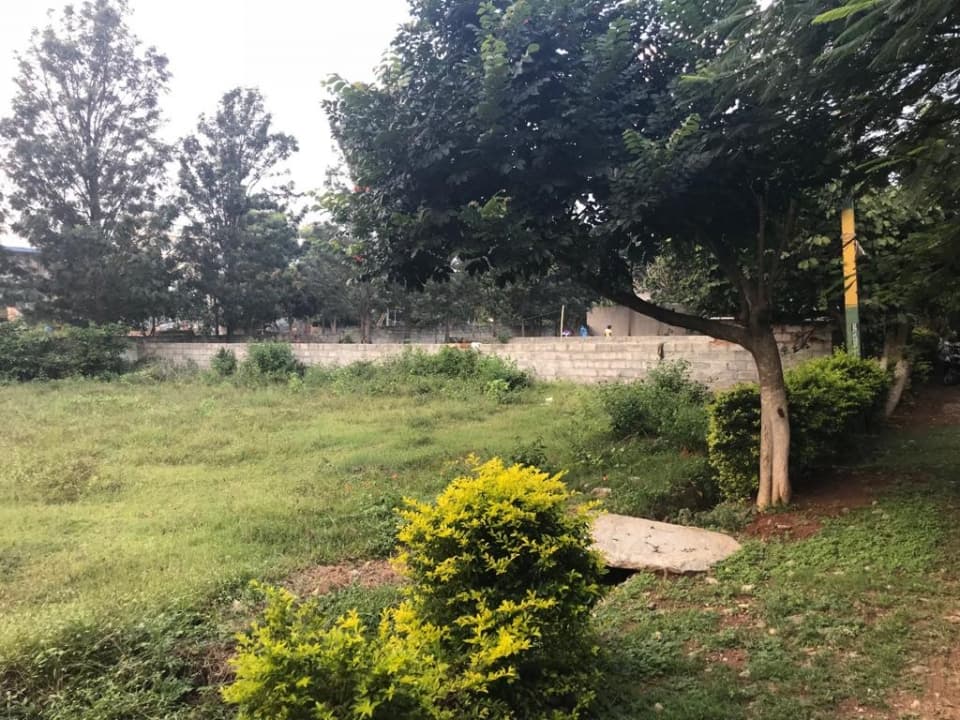 Plot / Site photo 2