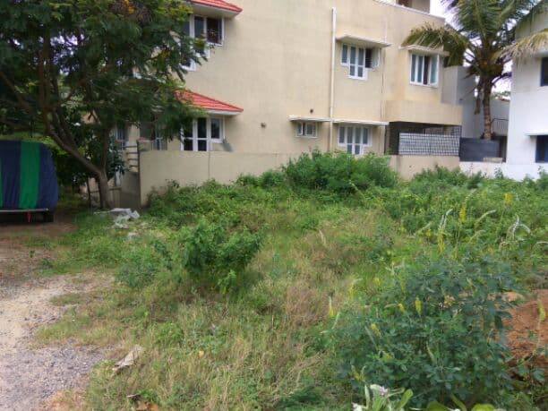 Plot / Site photo 4