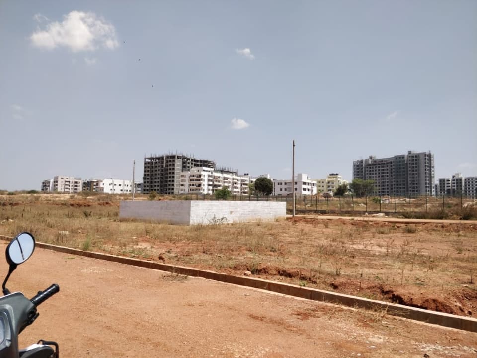 Plot / Site photo 4