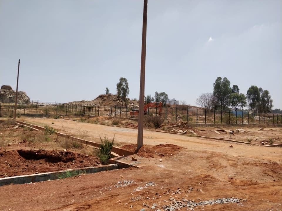 Plot / Site photo 2