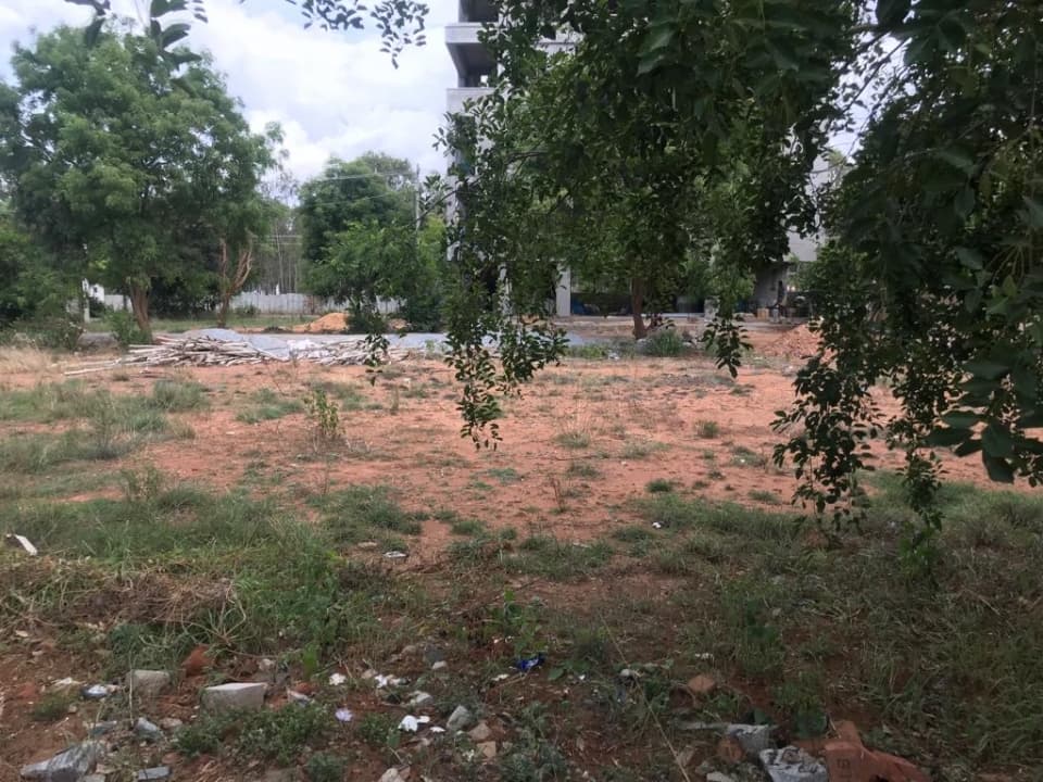 Plot / Site photo 4