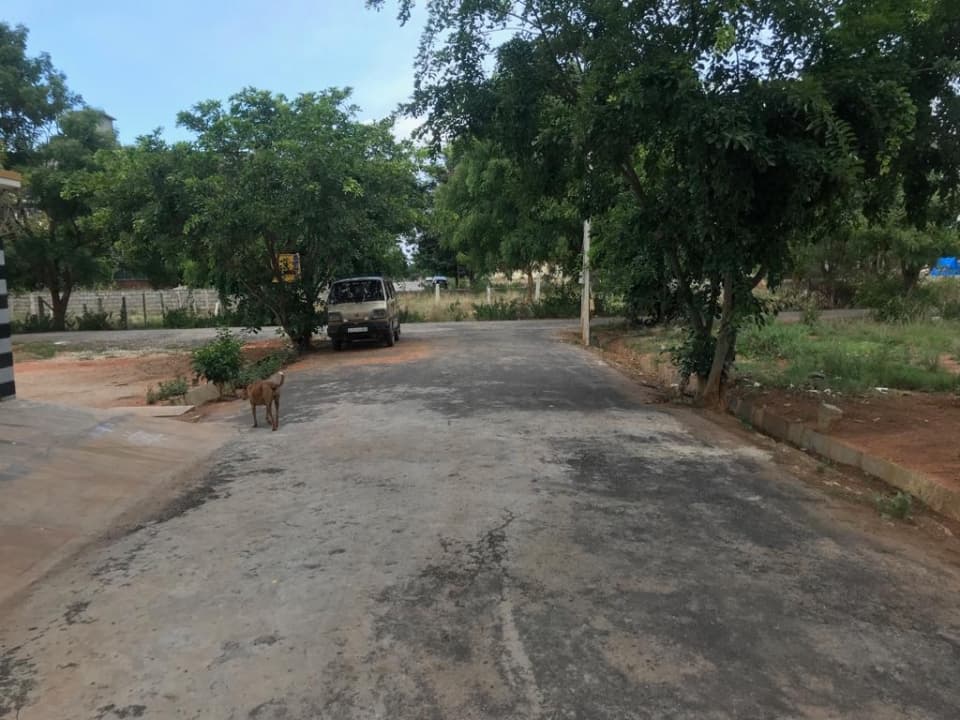 Plot / Site photo 3