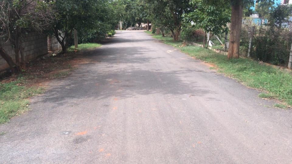 Plot / Site photo 3