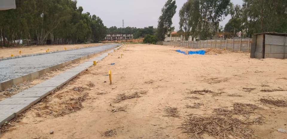 Plot / Site photo 3