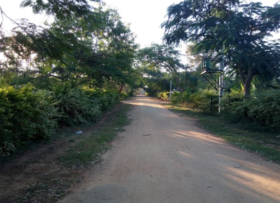 Plot / Site photo 2