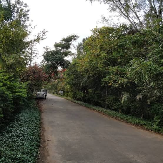 Plot / Site photo 4