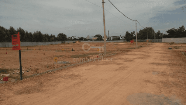 Plot / Site photo 2